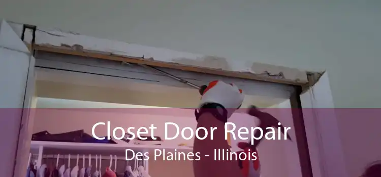 Closet Door Repair Des Plaines - Illinois