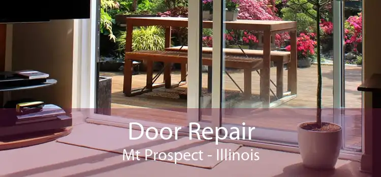 Door Repair Mt Prospect - Illinois