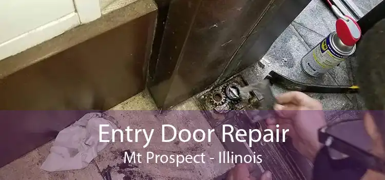 Entry Door Repair Mt Prospect - Illinois