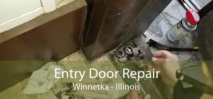 Entry Door Repair Winnetka - Illinois