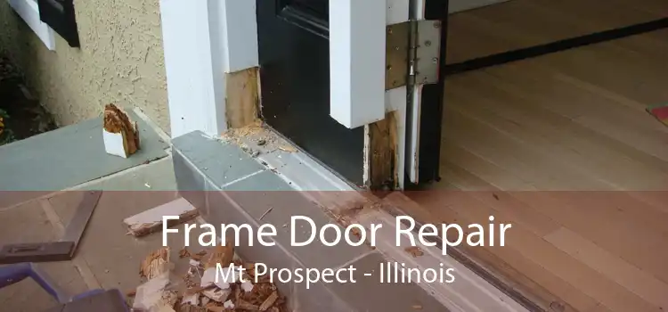 Frame Door Repair Mt Prospect - Illinois