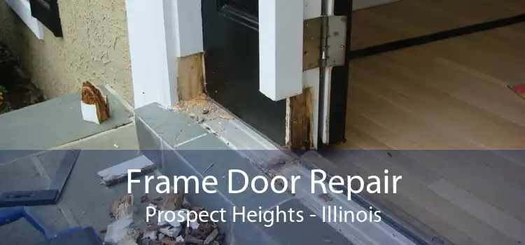 Frame Door Repair Prospect Heights - Illinois