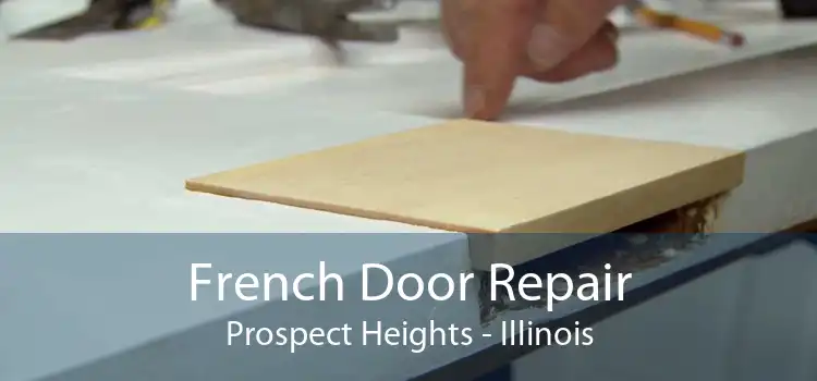 French Door Repair Prospect Heights - Illinois