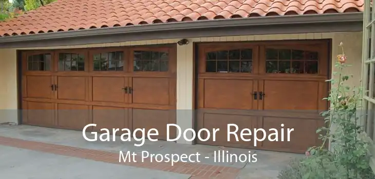 Garage Door Repair Mt Prospect - Illinois