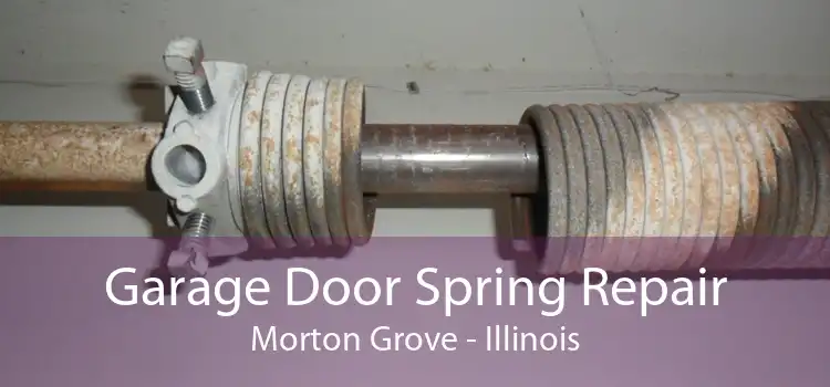 Garage Door Spring Repair Morton Grove - Illinois
