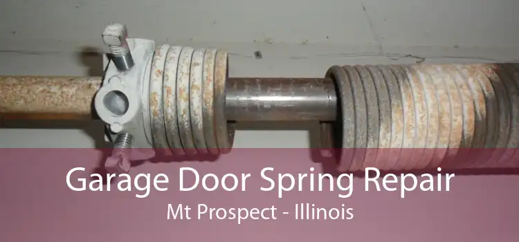Garage Door Spring Repair Mt Prospect - Illinois