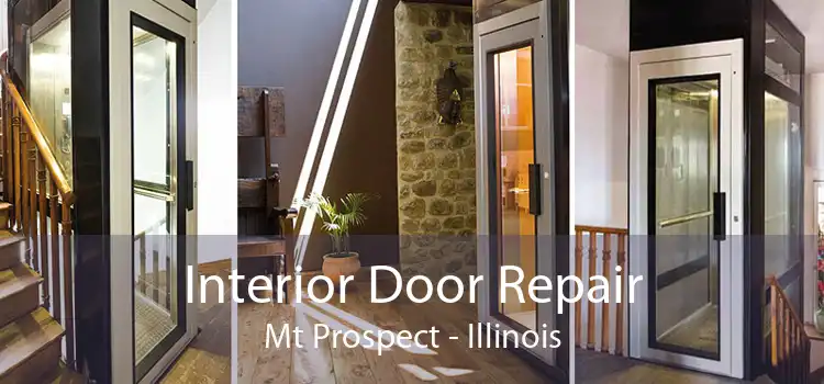 Interior Door Repair Mt Prospect - Illinois