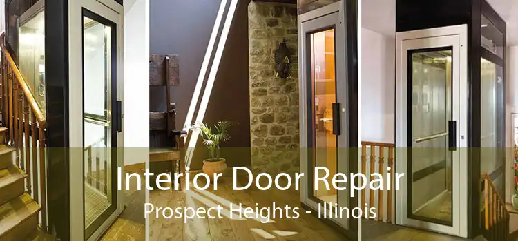Interior Door Repair Prospect Heights - Illinois