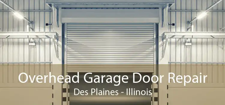 Overhead Garage Door Repair Des Plaines - Illinois