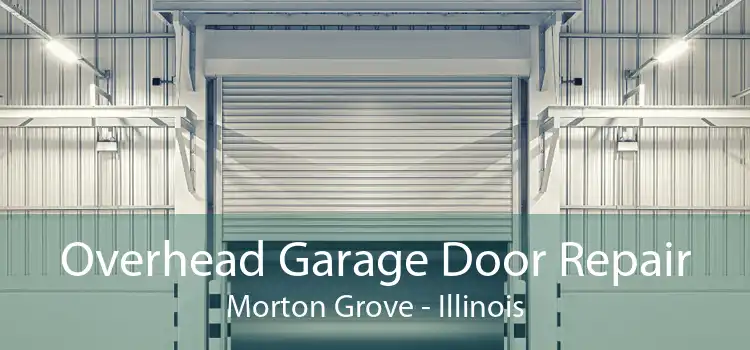 Overhead Garage Door Repair Morton Grove - Illinois