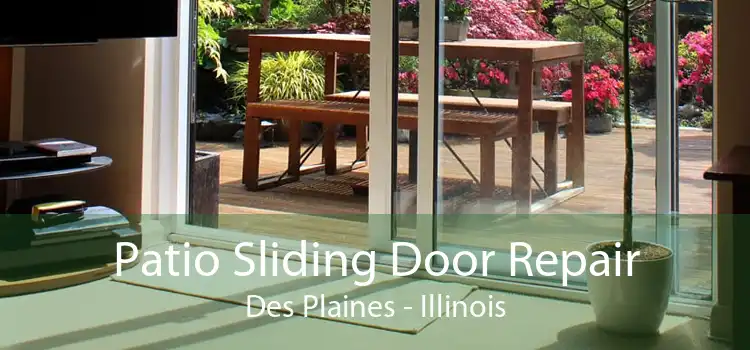 Patio Sliding Door Repair Des Plaines - Illinois