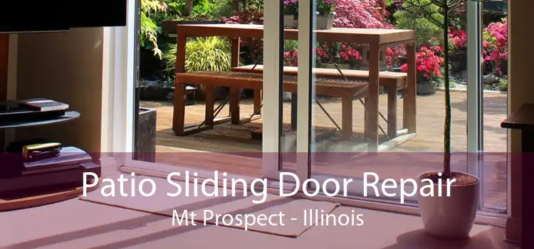 Patio Sliding Door Repair Mt Prospect - Illinois