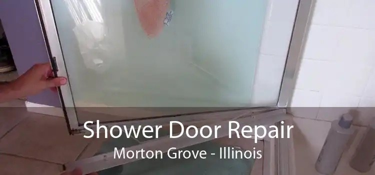 Shower Door Repair Morton Grove - Illinois