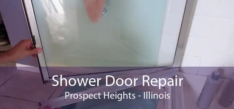 Shower Door Repair Prospect Heights - Illinois