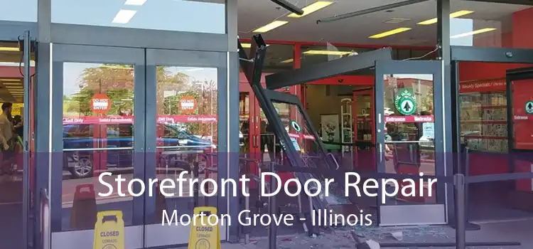 Storefront Door Repair Morton Grove - Illinois