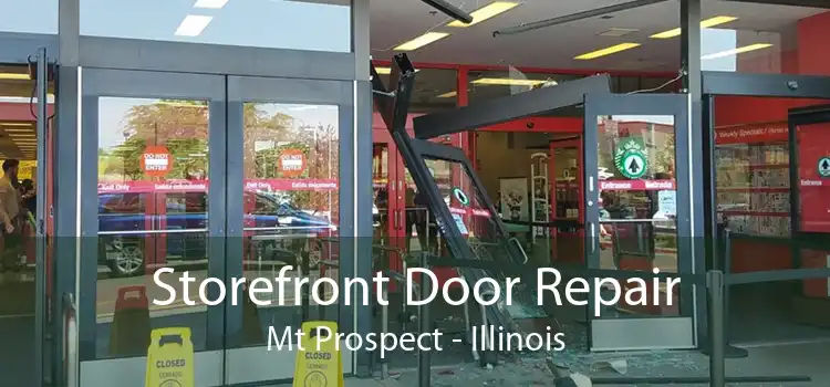 Storefront Door Repair Mt Prospect - Illinois