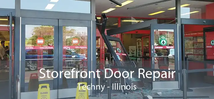 Storefront Door Repair Techny - Illinois