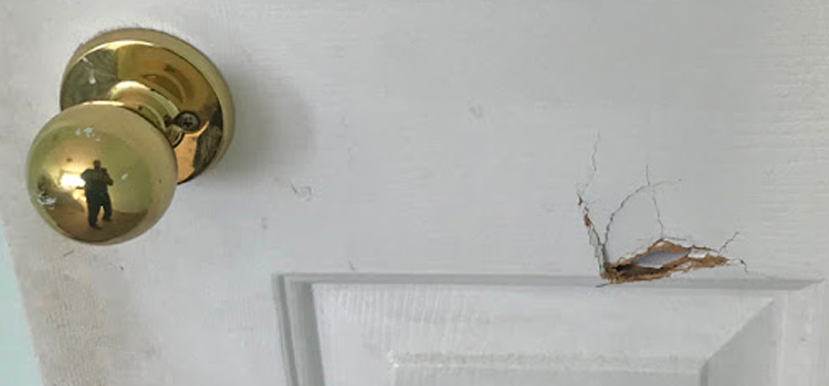 interior door hole repair Mt Prospect