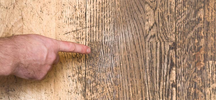 Wood Door Scratch Repair in Mt Prospect